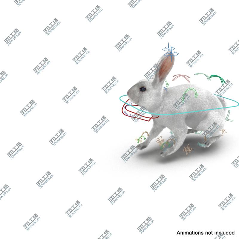 images/goods_img/2021040165/White Rabbit Rigged/5.jpg